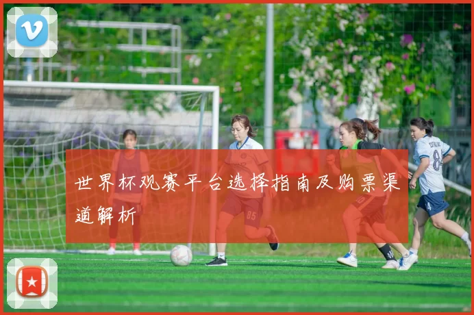 世界杯观赛平台选择指南及购票渠道解析