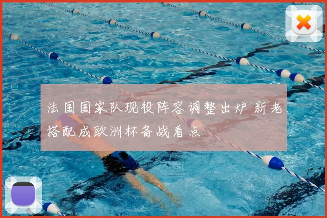 法国国家队现役阵容调整出炉 新老搭配成欧洲杯备战看点