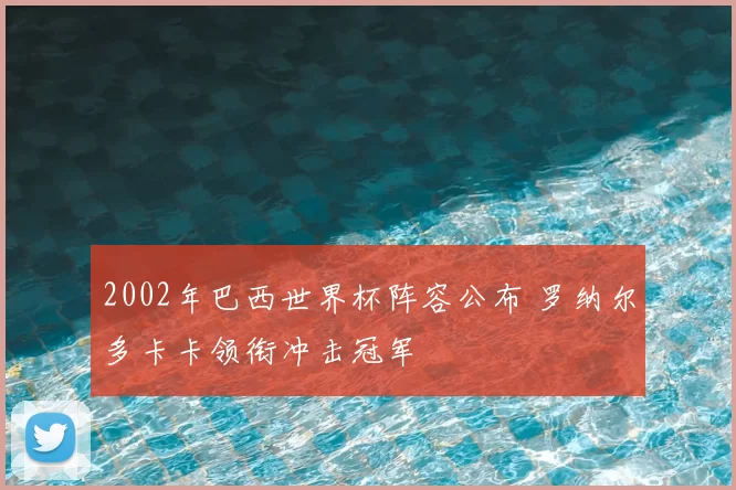2002年巴西世界杯阵容公布 罗纳尔多卡卡领衔冲击冠军