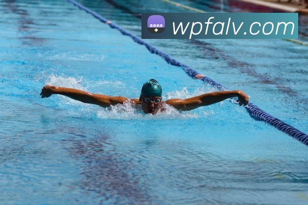 多媒体互动体验