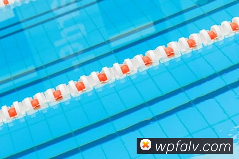 mk官网入口APP 高清赛事图